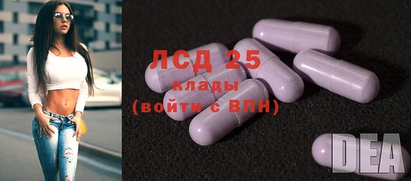 индика Аркадак