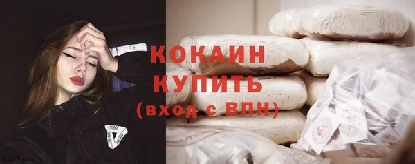индика Аркадак