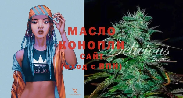 индика Аркадак