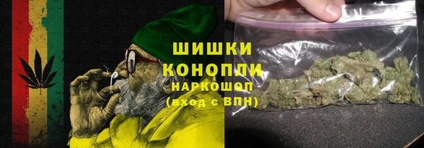 индика Аркадак