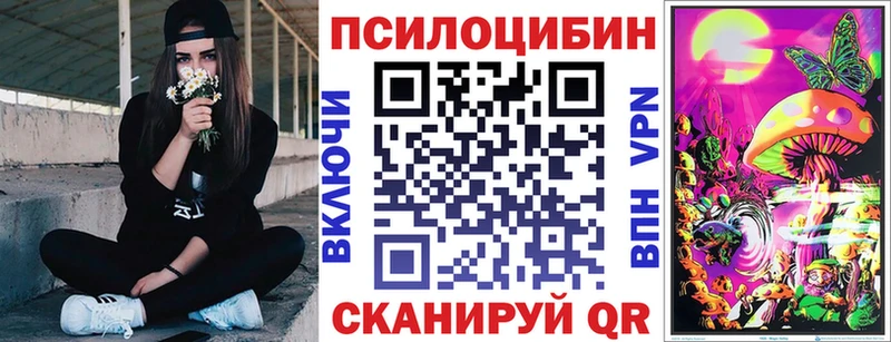 Псилоцибиновые грибы Psilocybe  цена   Георгиевск 
